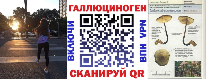 Галлюциногенные грибы Cubensis  Котово 